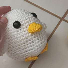 Pato